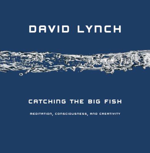 Catching the Big Fish cover